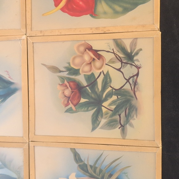 Vintage Floral Art Prints Set of 8 - Picture 7 of 10